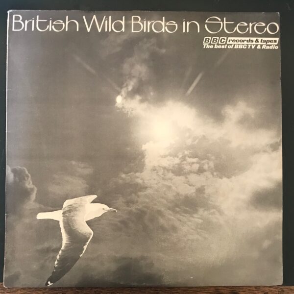 British Wild Birds In Stereo