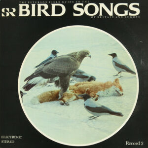 Bird Songs Of Britain And Europe (a field guide to): Record 2.