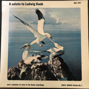 BBC Wildlife Series No.1 - Ludwig Koch – A Salute To Ludwig Koch: